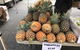 Camilleri’s Farm Market - thumb 2
