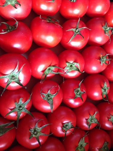 Fruit Vegetable Growers Packers Caloundra QLD Internet Find