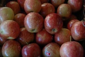 Caloundra Fruit & Veg Market - Renee 1