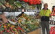Bradys Fruit - thumb 1