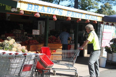 Bradys Fruit - Internet Find 4