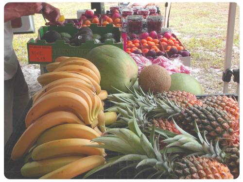 Fruit Vegetable Growers Packers Noosaville QLD Internet Find