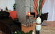 Kabello Salon - thumb 4