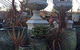 Cedar Nursery & Design - thumb 1