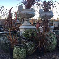 Cedar Nursery & Design - Internet Find 1