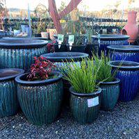 Cedar Nursery & Design - Internet Find 4