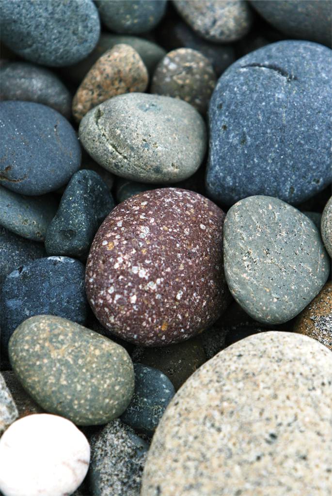 Landscape Supplies Trinity Beach QLD Qld Realsetate