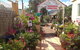 Peregian Garden Centre - thumb 0