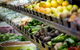 The Healthy Hub - thumb 0