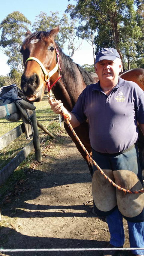 Brian S Grant Horse Dentistry & Farrier Service - Internet Find 0