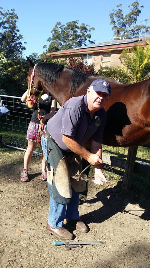 Brian S Grant Horse Dentistry & Farrier Service - Internet Find 3