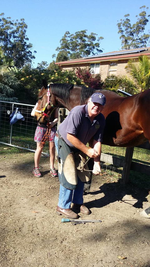 Brian S Grant Horse Dentistry & Farrier Service - Internet Find 4