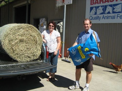 Lawn Turf Supplies Kelso QLD Swimm