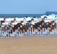 Causeway Equestrian - Renee