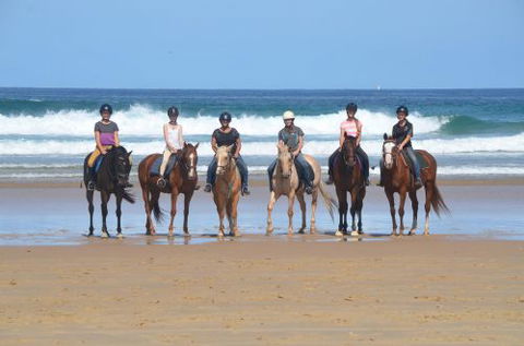 Causeway Equestrian - Internet Find 0
