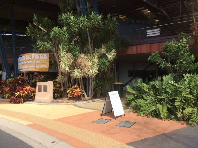 Insurance Brokers Gracemere QLD Renee