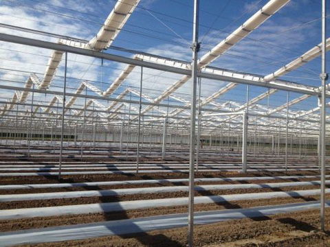 J & R McCracken - Swimm 2