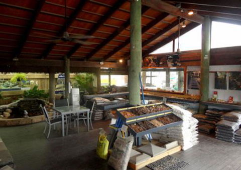 Cairns Raw Materials - Renee 3