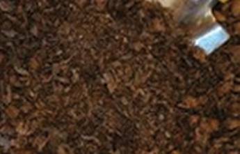 Cairns Raw Materials - Renee 10