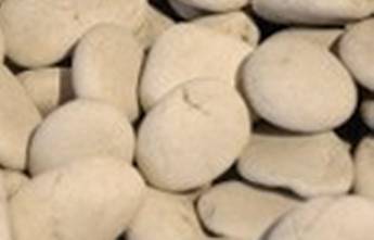 Cairns Raw Materials - Renee 11