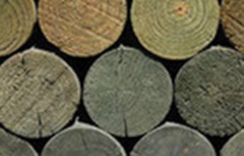 Cairns Raw Materials - Renee 12