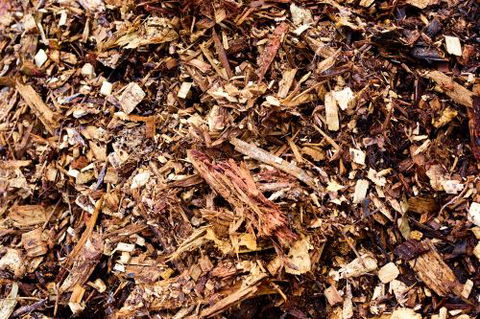 Rural Garden Supplies - Swimm 4