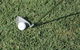 Pialba Turf Supplies - thumb 1