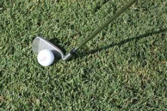 Pialba Turf Supplies - Renee 1