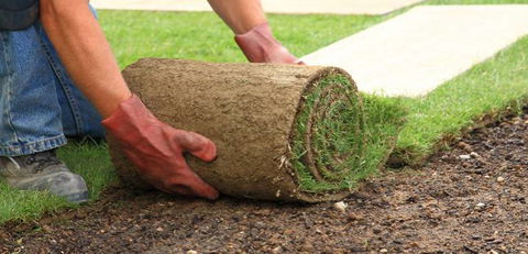 Pialba Turf Supplies - Renee 3