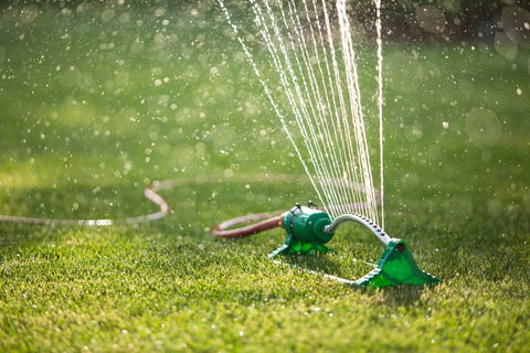 Pialba Turf Supplies - Renee 4
