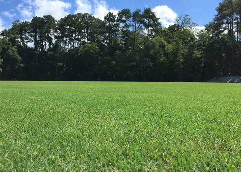 Roberts Turf Supplies - Qld Realsetate 1