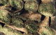 Roberts Turf Supplies - thumb 2