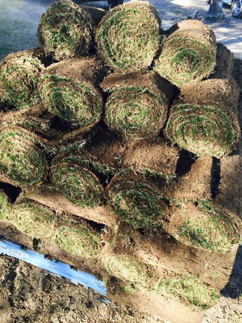 Roberts Turf Supplies - Qld Realsetate 2