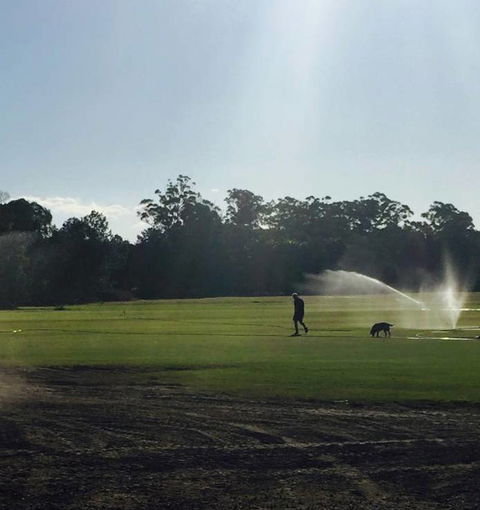 Roberts Turf Supplies - Qld Realsetate 3