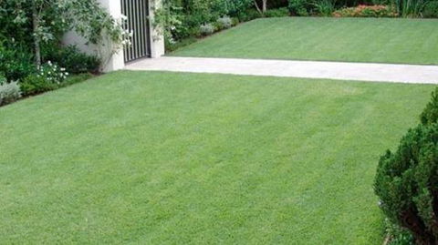 Robert’s Turf Supplies - Renee 0