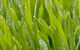 Robert’s Turf Supplies - thumb 1