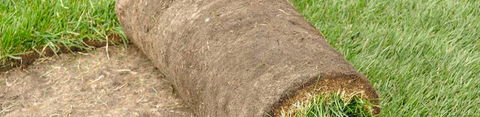 Robert’s Turf Supplies - Renee 2