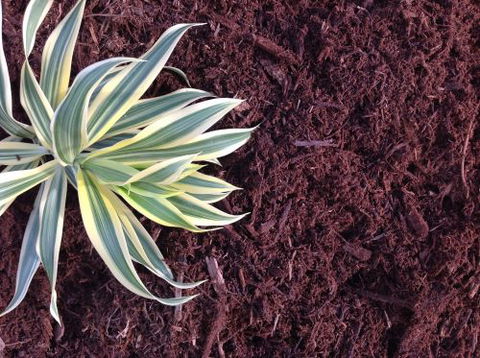 Scott Kennedy’s Landscape & Garden Supplies - Renee 1