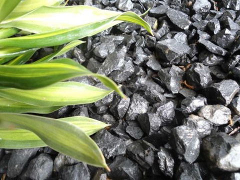 Scott Kennedy’s Landscape & Garden Supplies - Renee 2