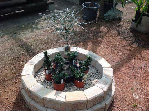 Scott Kennedy’s Landscape & Garden Supplies - Renee 10