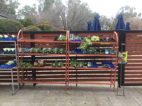 Old Ganarrin Garden Centre - Swimm 0