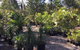 Noosaville Garden Centre Cooroibah Park Landscapes - thumb 0