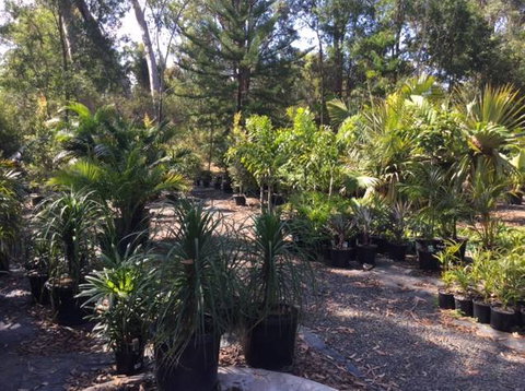Noosaville Garden Centre Cooroibah Park Landscapes - Swimm 0