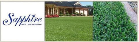 U-Bute Turf Farm - Renee 1