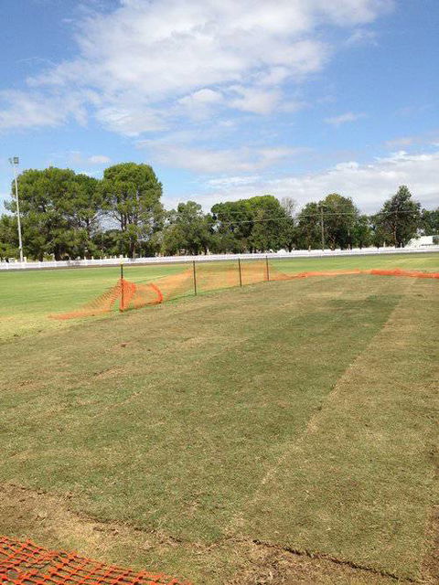 Orana Turf - Internet Find 0