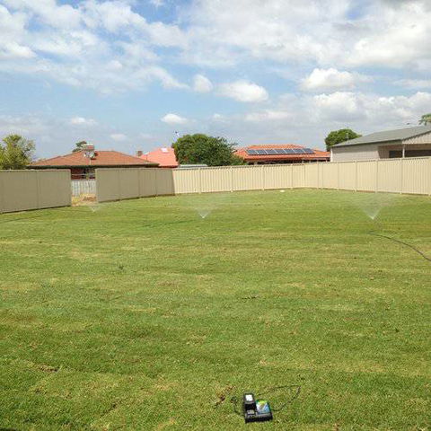 Orana Turf - Internet Find 1