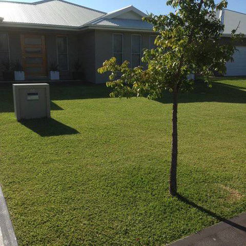 Orana Turf - Internet Find 2