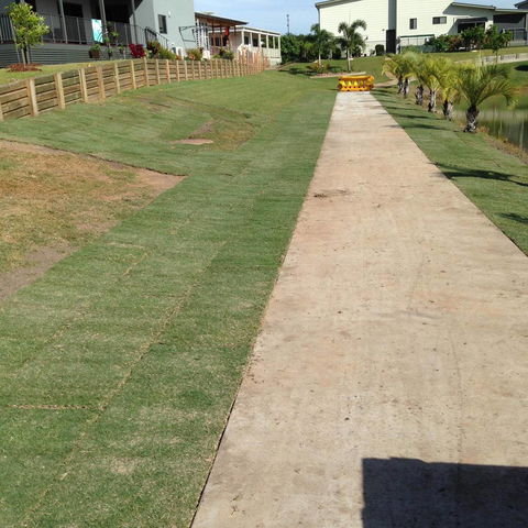 Wide Bay Turf - Internet Find 1