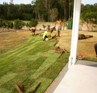 Rosemount Turf - Renee