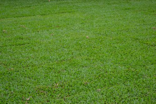 Gumlow QLD Qld Realsetate